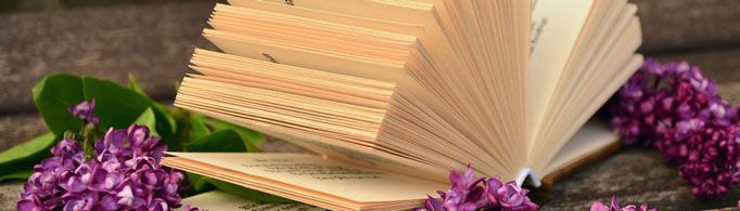 为什么称书为图书？