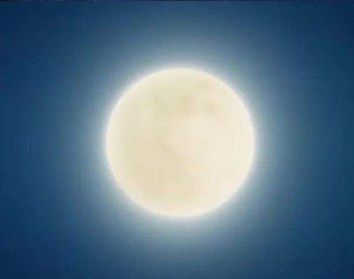 今晚月色真美什么意思?