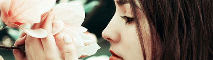 鼻子为什么能闻出各种气味?