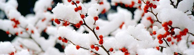 为什么说下雪不冷化雪冷?