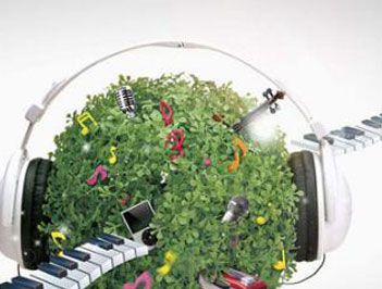 植物也喜欢听音乐？