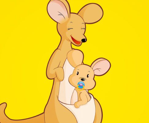 袋鼠肚子上的口袋有什么用？