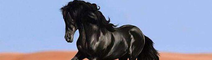 生肖马为什么又叫午马?