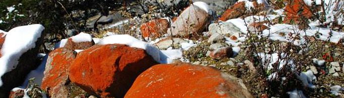 石头也会生锈吗?