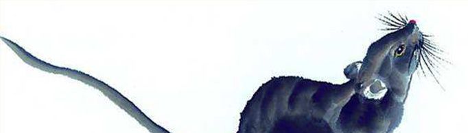 生肖鼠为什么又叫子鼠?