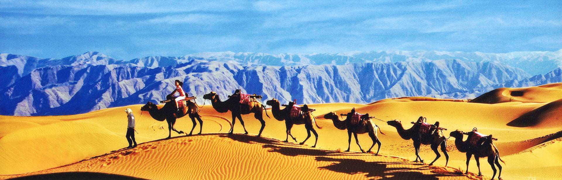 沙漠为什么白天热晚上冷?