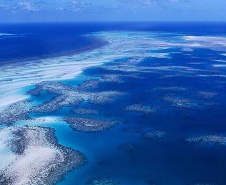 最大的海是什么海?