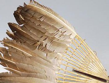 最早的扇子是用什么做的？