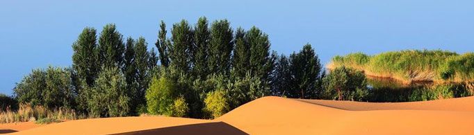 为什么沙漠里会有绿洲?