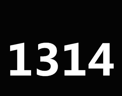1314是什么意思?