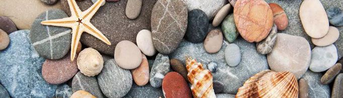 为什么鹅卵石是光滑的?