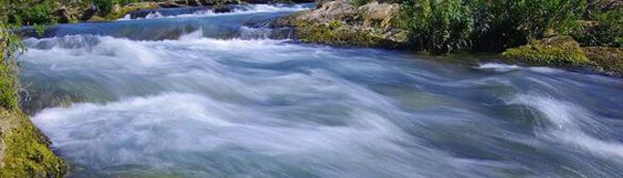 为什么河水能够自我净化?