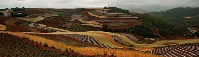 为什么土壤会有各种颜色?