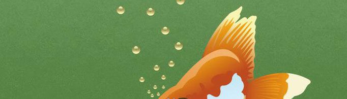 如何淹死一只鱼?