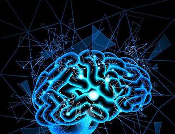 脑细胞真的一旦死亡就无法重生吗?