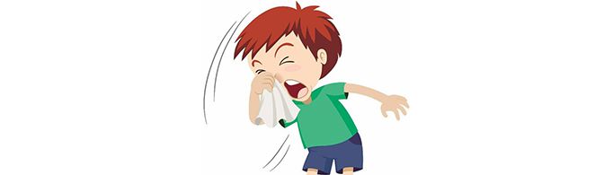 鼻涕都藏在哪里?