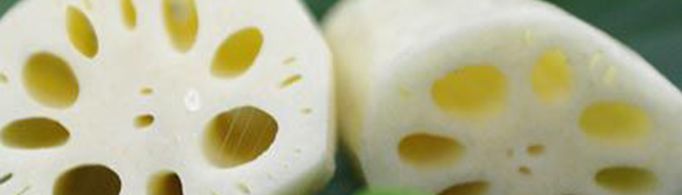 藕断了为什么会丝连?