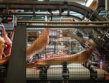 屠宰动物而产生的恐惧会化为毒素，是真的吗？