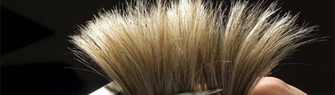 为什么说正月理发死舅舅？