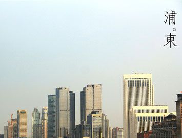 世界上最大的城市开发区是什么？