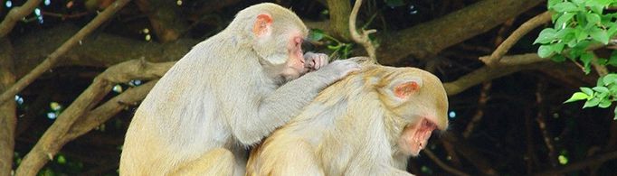 为什么挠痒会越挠越痒？