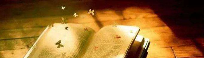 夜大是什么学校？