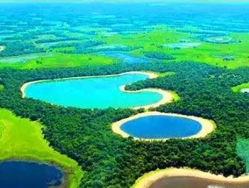 世界上最大的湿地是什么？