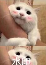 如何在图片上加水印