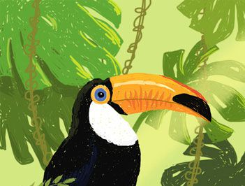 世界上嘴巴最大的鸟是什么？