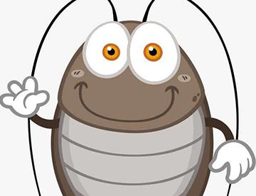 蟑螂和恐龙谁出现的早？