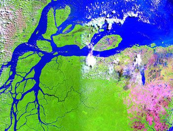 世界最大的河口三角洲是什么？