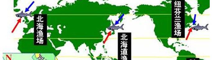 世界四大渔场是指哪些渔场？