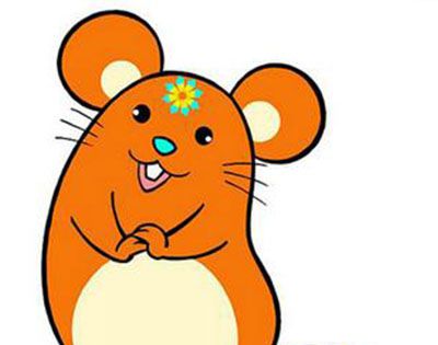 猪年过了是什么年？