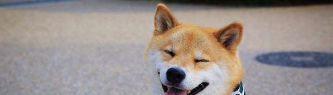 女生叫你狗子是什么意思？