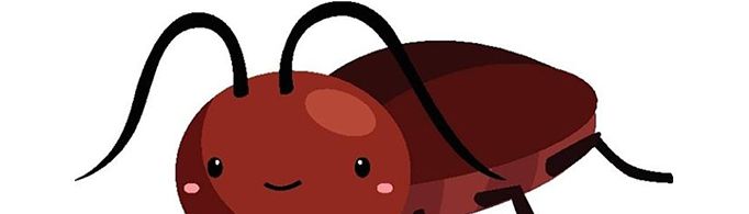 蟑螂会不会飞？