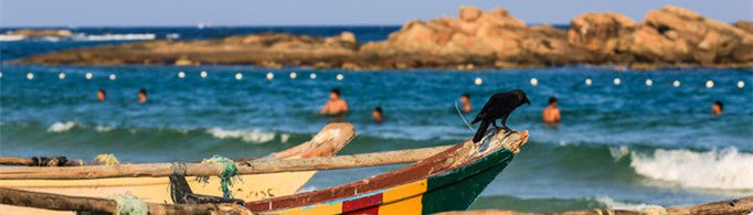 斯里兰卡是哪个国家？