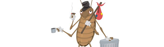 蟑螂为什么喜欢喝酒？