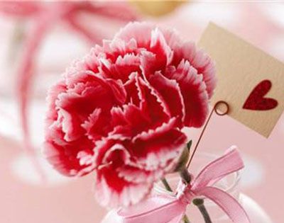 康乃馨代表什么意思？