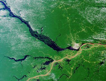 世界上面积最大的平原是什么？