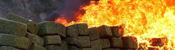 通过焚烧销毁大麻会不会让围观群众吸嗨？