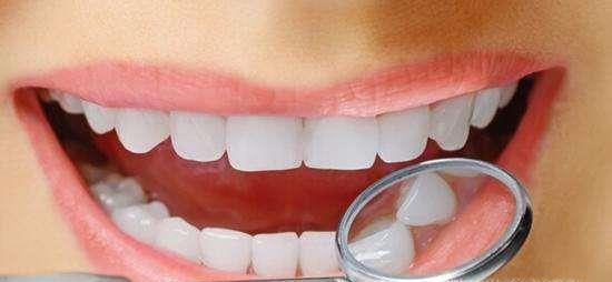 牙齿的结构（图解）