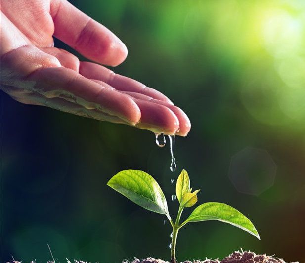 植树节的意义是什么？