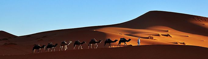 撒哈拉沙漠曾经是绿洲吗？