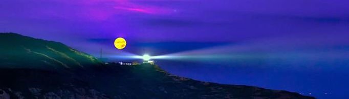 灯光会影响海洋生态吗？