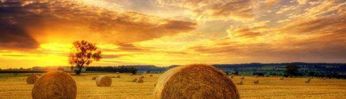 公历的起源是什么?