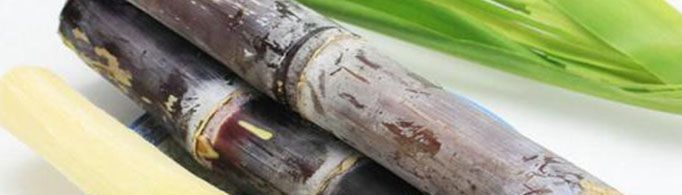 甘蔗男是什么意思?