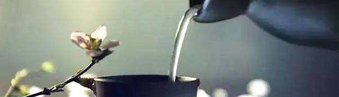 屠苏是什么意思?