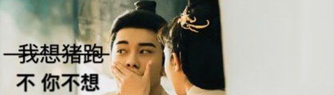 猪跑是什么意思?