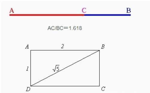 黄金比例怎么算?