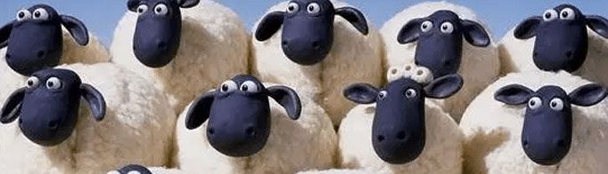 “羊群效应”是什么意思?